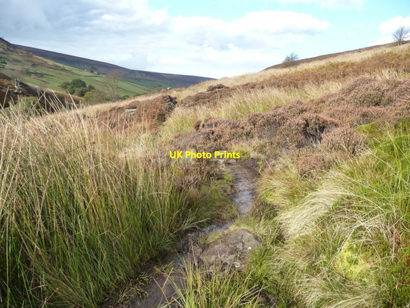 Photo 6"x4" A minor boggy patch on the Esk Valley Way Westerdale\/NZ6605 c2012