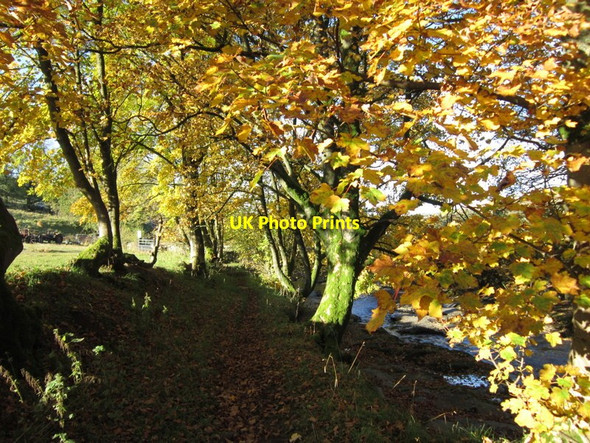 Photo 6"x4" The Dales Way Cowgill\/SD7587 c2012