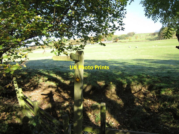 Photo 6"x4" The Dales Way Cowgill\/SD7587 c2012 P4