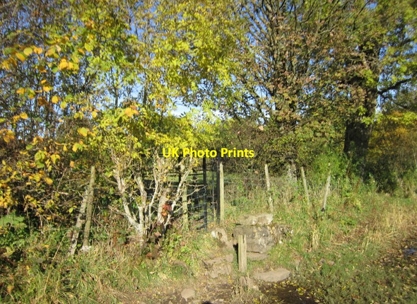 Photo 6"x4" The Dales Way Gawthrop c2012