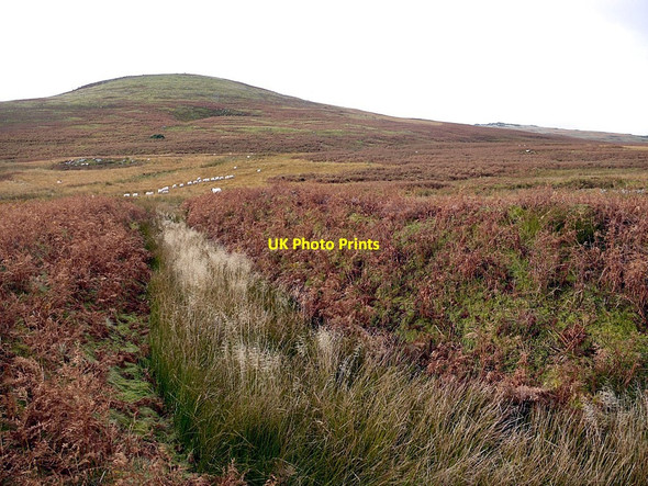 Photo 6"x4" Moated site east of Dod Hill Ilderton c2012