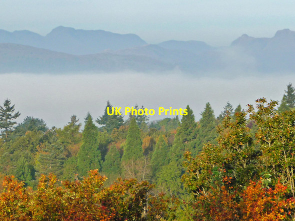 Photo 6"x4" Autumn colours above Windermere Windermere\/SD4198 c2012