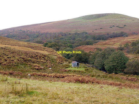 Photo 6"x4" Valley of Lilburn Burn south-east of Dod Hill Ilderton c2012