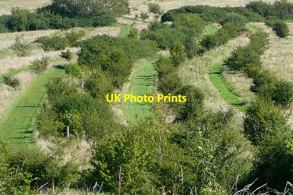 Photo 6"x4" Take your pick Icomb c2012