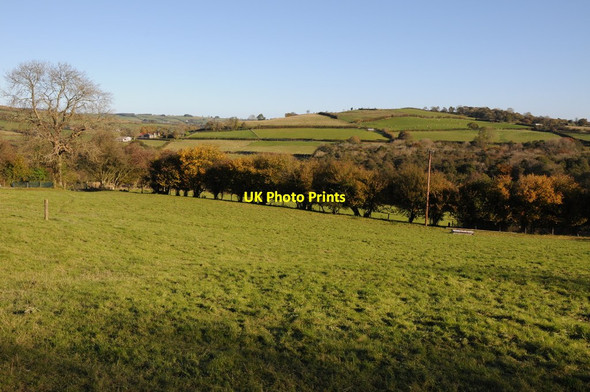 Photo 6"x4" Field at Newgate Crowther's Pool c2012