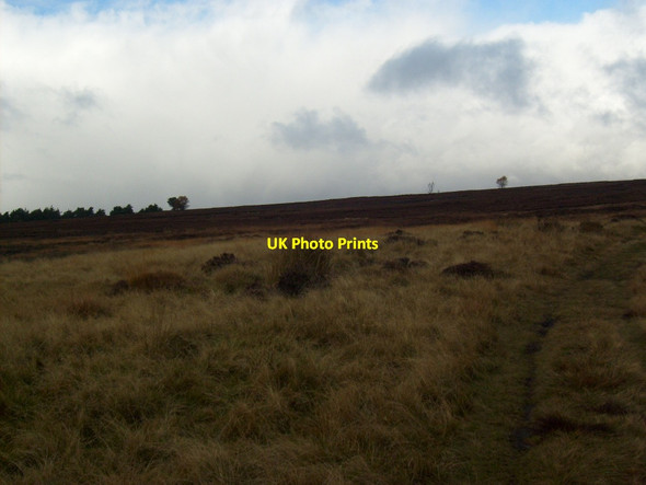 Photo 6"x4" Spaunton Moor Lowna c2012