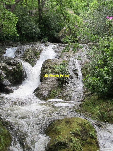 Photo 6"x4" The Glen River Newcastle\/J3732 c2012