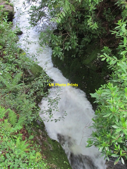 Photo 6"x4" Rapids on the Glen River Newcastle\/J3732 c2012