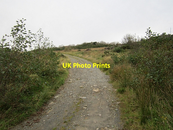 Photo 6"x4" Rough road, Goldrum Termon c2012