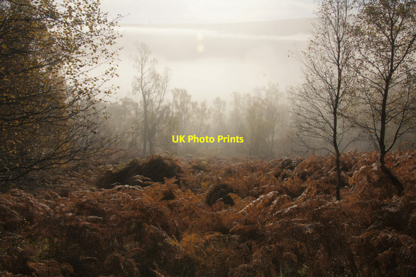 Photo 6"x4" Early morning mist in Glen Strathfarrar Struy c2012