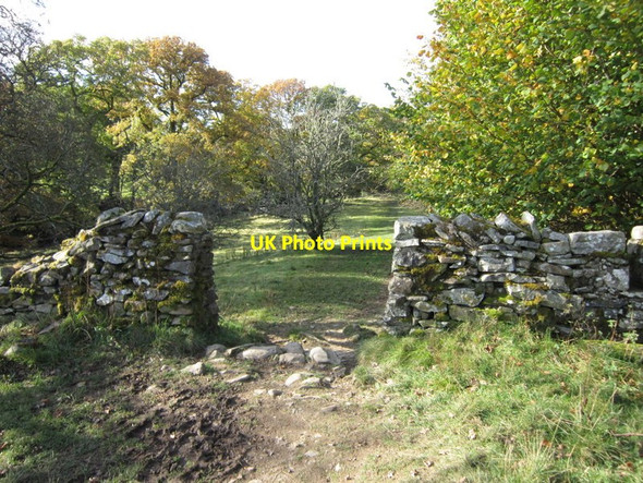 Photo 6"x4" The Dales Way Sedbergh c2012