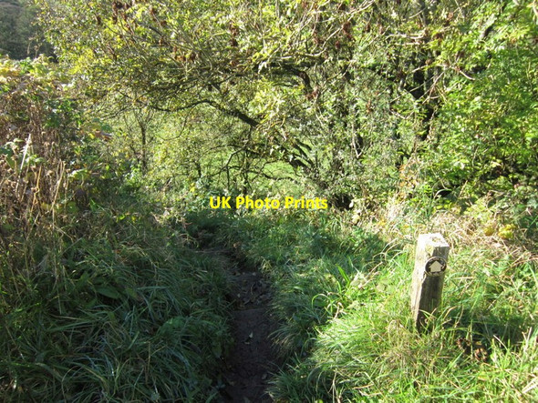 Photo 6"x4" The Dales Way Sedbergh c2012 P1