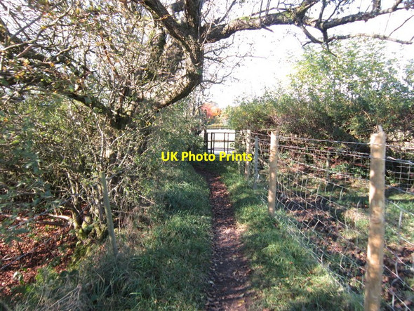 Photo 6"x4" The Dales Way Sedbergh c2012 P4