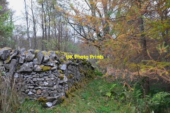 Photo 6"x4" An old wall on Ven Law Peebles\/NT2540 c2012