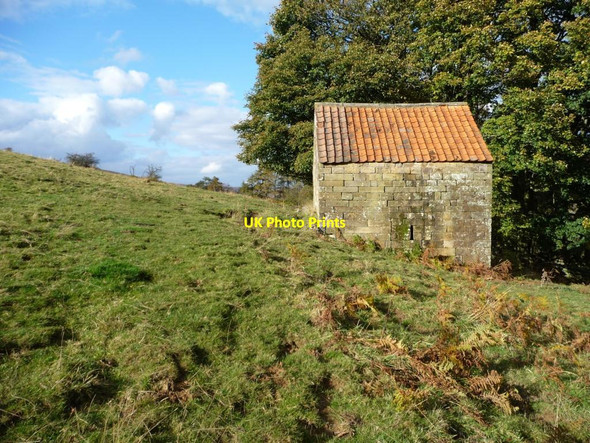 Photo 6"x4" Footpath alongside a small farm building Thorgill c2012
