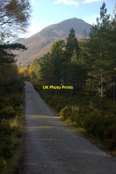 Photo 6"x4" Track in Glen Affric Am Meallan\/NH1924 c2012