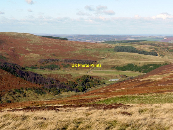 Photo 6"x4" Harthope Valley near Carey Burn Bridge Middleton Hall\/NT9825 c2012