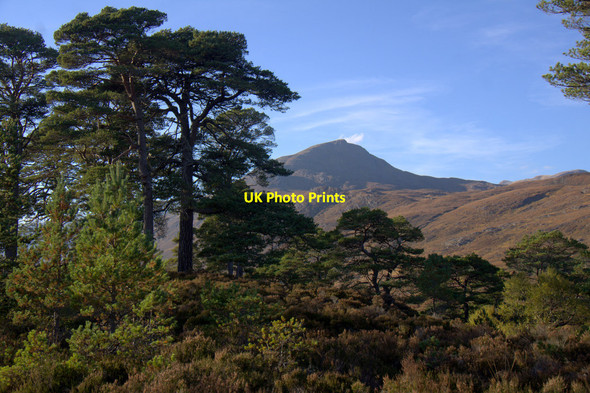 Photo 6"x4" Sgurr na Lapaich from the south side of Glen Affric Glen Affric c2012