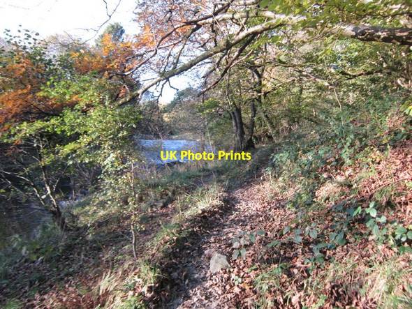 Photo 6"x4" The Dales Way Firbank\/SD6294 c2012