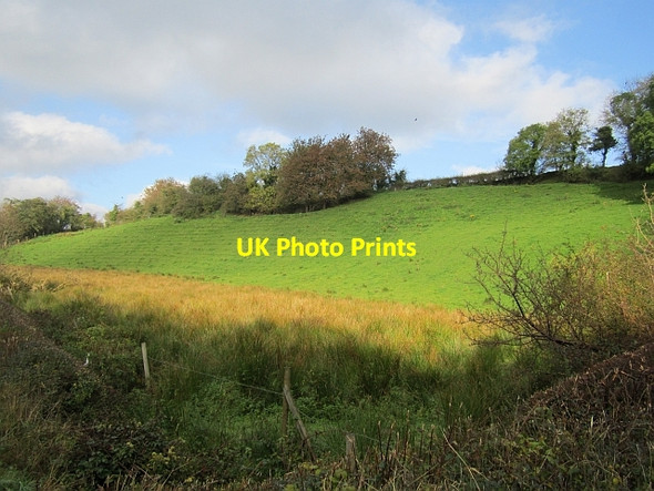 Photo 6"x4" Wetland off Berryhill Road Artigarvan c2012