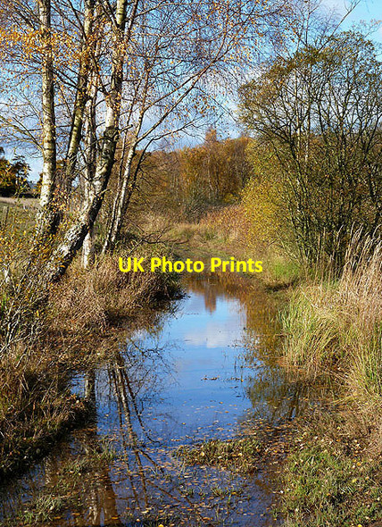 Photo 6"x4" A water logged path by Cauldshiels Loch Faldonside c2012