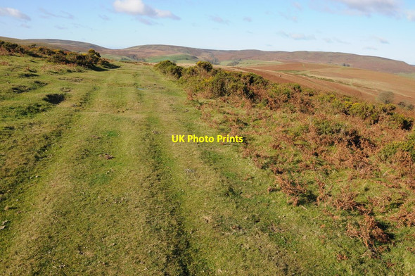 Photo 6"x4" Track across Newchurch Hill Bryngwyn\/SO1849 c2012