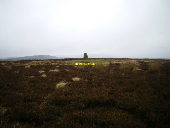 Photo 6"x4" Trig S3108 on Eclusham Mountain Gwynfryn\/SJ2552 c2012