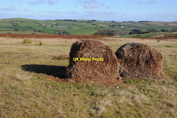 Photo 6"x4" Bales of bracken Bryngwyn\/SO1849 c2012