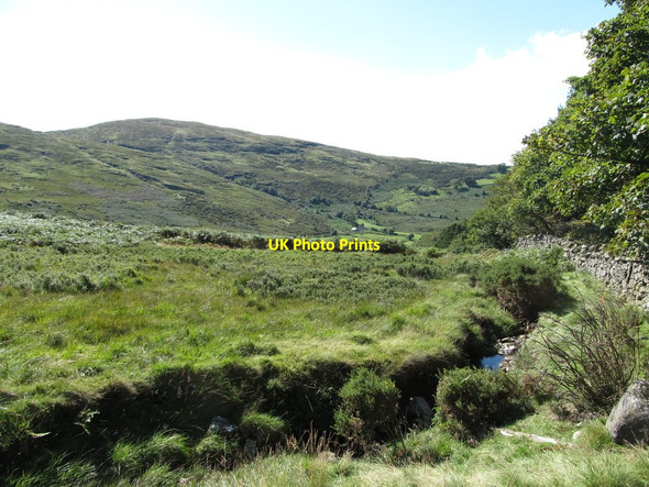 Photo 6"x4" A west flowing tributary of the Spinkwee River Newcastle\/J3732 c2012