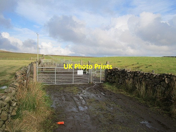 Photo 6"x4" Cattle pens off Mullaghsandall Road Carncastle c2012