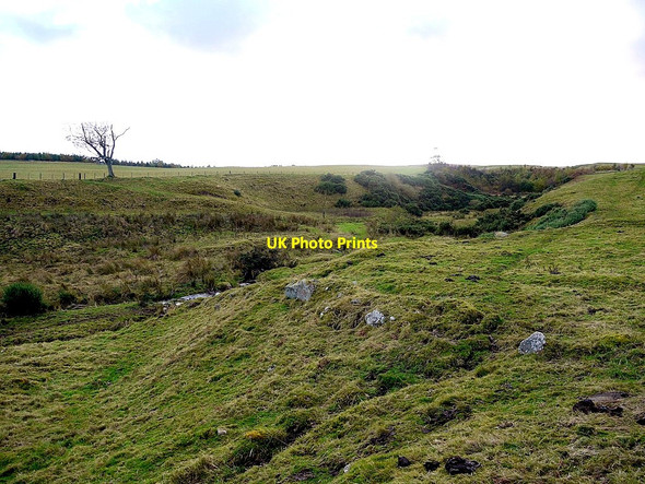 Photo 6"x4" Burn south of Middleton Old Town South Middleton c2012