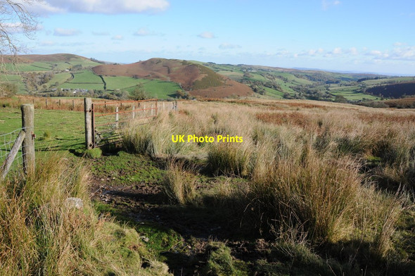 Photo 6"x4" Rough grazing above the Arrow valley Glascwm\/SO1553 c2012