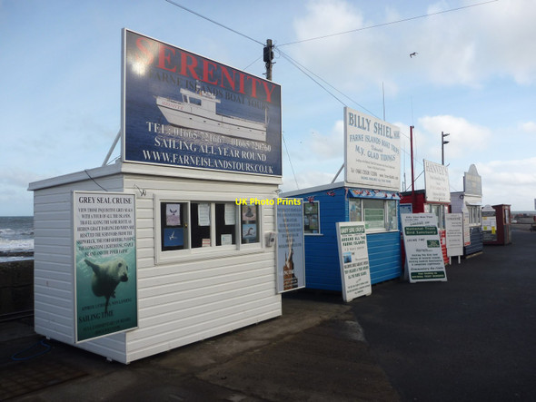 Photo 6"x4" Coastal Northumberland : Spoilt For Choice at Seahouses Harbour Seahouses c2012