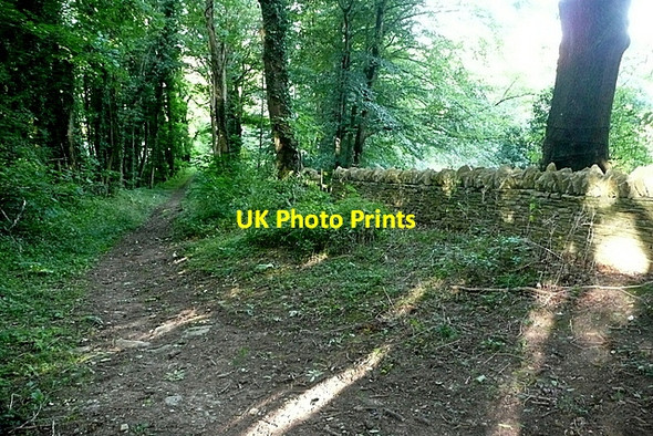 Photo 6"x4" Restricted byway near Workham Farm Fifield\/SP2418 c2012