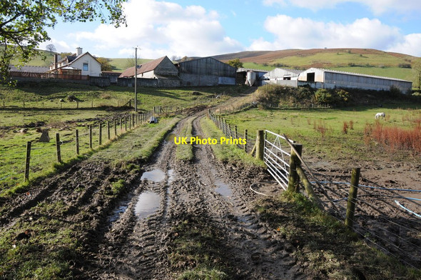 Photo 6"x4" Dreavour Farm Colva c2012