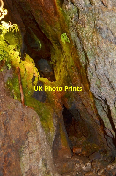 Photo 6"x4" Wheal Roots Trenear c2012