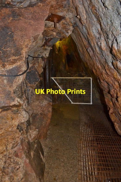 Photo 6"x4" Wheal Roots Trenear c2012 P1