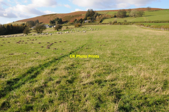 Photo 6"x4" Colva and Colva Farm Colva c2012