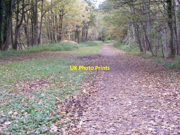 Photo 6"x4" Railway Path View Himley c2012