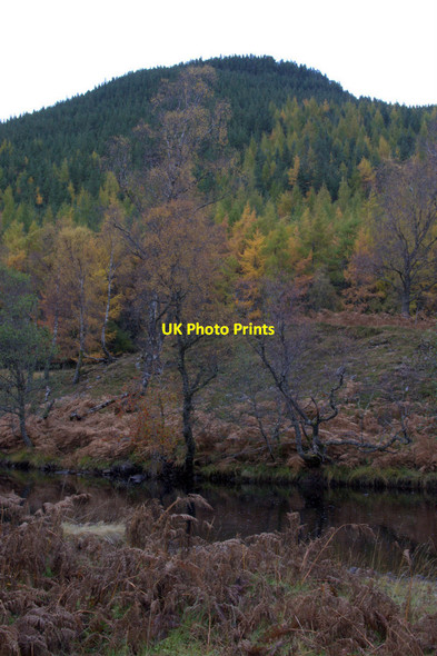 Photo 6"x4" Glen Cannich below Muchrachd Loch Craskie c2012