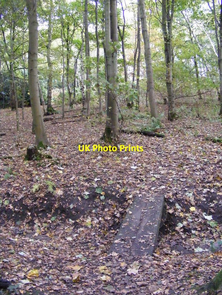 Photo 6"x4" Plantation Footbridge Himley c2012