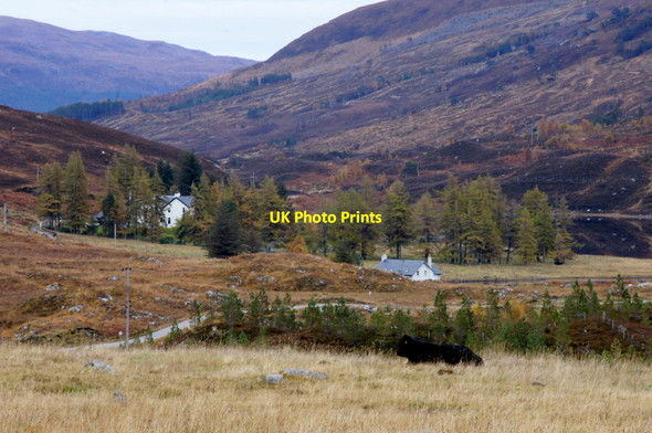 Photo 6"x4" View to Mullardoch House from below Mullardoch Dam Loch a' Bh\u00e0na c2012