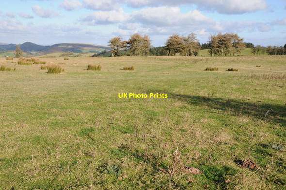 Photo 6"x4" Upland grazing above Colva Colva c2012