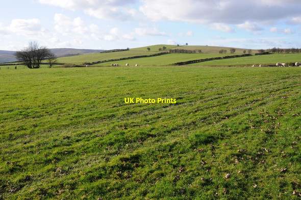 Photo 6"x4" Grazing land above the Arrow valley Colva c2012