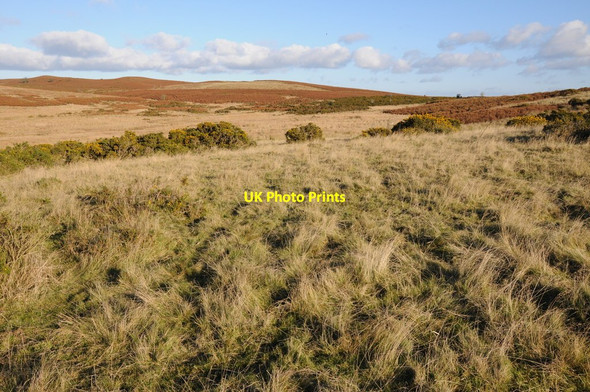 Photo 6"x4" Disgwylfa Hill Newchurch\/SO2150 c2012