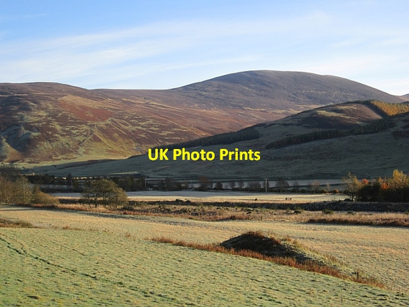 Photo 6"x4" Fields, Stanhope Stanhope\/NT1229 c2012