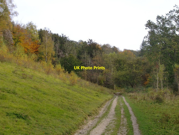 Photo 6"x4" Bridleway along Juniper Bottom Fredley c2012