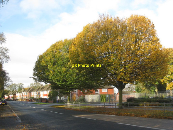 Photo 6"x4" Ferry Road in autumn Scunthorpe c2012
