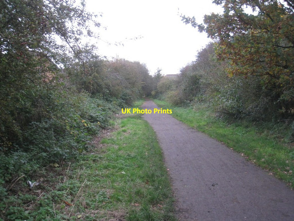 Photo 6"x4" National Cycle Route 62 and Trans Pennine Trail Bentley\/SE5605 c2012