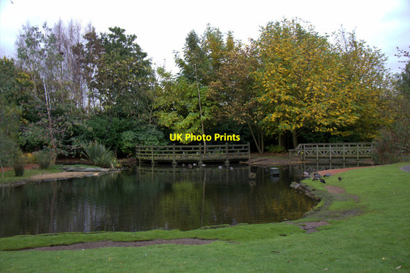 Photo 6"x4" London  Wetland Centre, Barnes, London Barnes c2012